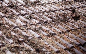 Chisbury roof cleaning companies